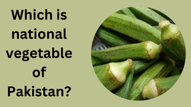 Which Is National Vegetable Of Pakistan